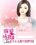 霸爱成痴：少夫人的99封情书