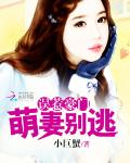 误惹豪门：萌妻别逃