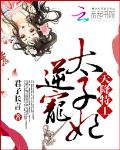 天降特工：逆宠太子妃