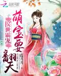 医世霸宠：萌宝要翻天