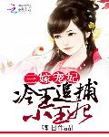 三嫁宠妃：冷王追捕小王妃
