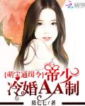 萌宝通缉令：帝少冷婚AA制