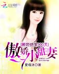 黑帝绝宠100天：傲娇小甜妻
