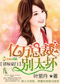 错嫁惊婚，亿万总裁请放手