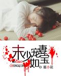 末少宠妻如宝