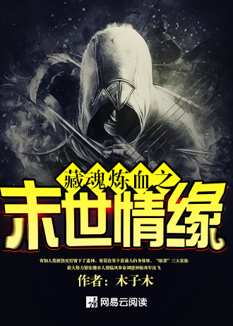 藏魂炼血之末世情缘