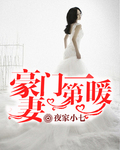 豪门第一暖妻