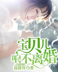 宝贝儿，咱不离婚【完】