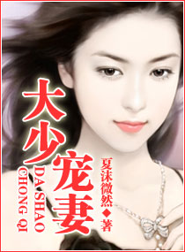 大少宠妻