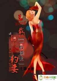 一心项北 总裁的合约妻