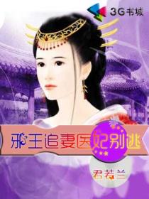 王爷追妻医妃别逃