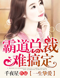 一生挚爱，霸道总裁难搞定