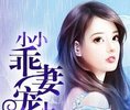 小小乖妻宠上瘾