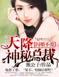闪婚不爱，天降神秘总裁