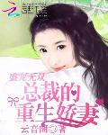 盛宠无双：总裁的重生娇妻