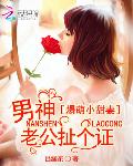 爆萌小甜妻：男神老公扯个证