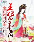 穿越时空：王妃要和离