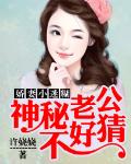 娇妻小迷糊：神秘老公不好猜