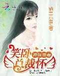 神探萌妻：笑卧总裁怀