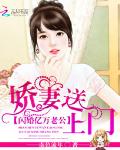 闪婚亿万老公：娇妻送上门