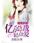 盛宠前妻：亿万总裁轻点爱(书坊)