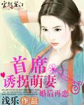 婚后再恋：首席诱拐萌妻