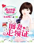 高冷老婆领回家：前妻，走领证