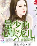 暖婚溺爱：景少的心尖宠儿