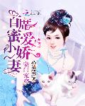 豪门宠欢：首席蜜爱小娇妻