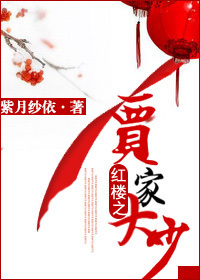 红楼之贾家大少