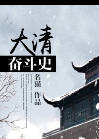 大清奋斗史