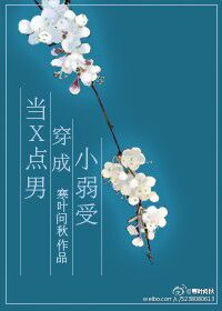 当x点男穿成小弱受