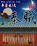 秦贼