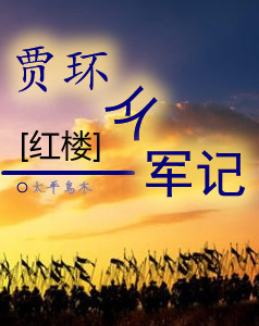 [红楼]贾环从军记