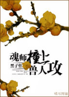 魂师撞上兽人攻