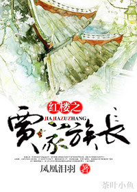 红楼之贾家族长