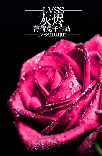 LVSS 灰烬