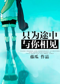只为途中与你相见