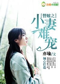 替嫁之小妻难驯