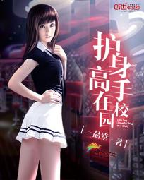 校园之护身高手
