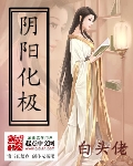 阴阳化极
