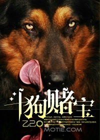 斗狗赌宝