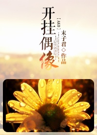 （AKB）开挂偶像
