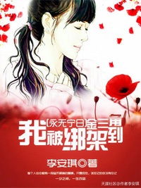 永无宁日：我被绑架到金三角