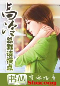 如狼似虎：高冷总裁请慢点