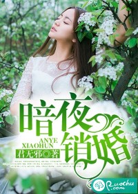 暗夜销婚