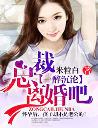 总裁，离婚吧！