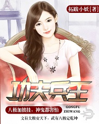 功夫兵王
