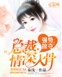 强势掠夺：总裁，情深入骨