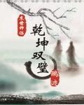 乾坤双璧之纵横天下
